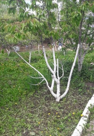 Продажа домов: Дача, 70 м², 4 комнаты, Агентство недвижимости — 3