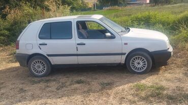 Volkswagen: Volkswagen Golf: 1993 г., 1.6 л, Механика, Бензин, Хэтчбэк