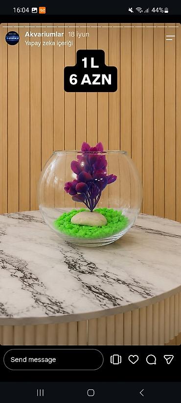 akvarium balıqlar: Yumru akvarium, Boş, 1 l — 6