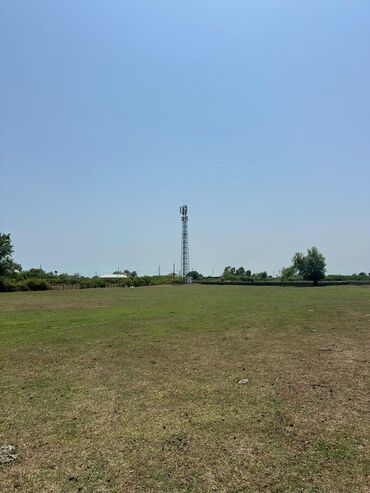 Torpaq sahələrinin satışı: Kənd təsərrüfatı -da lalafo.az — 4 Torpaq sahələrinin satışı: Kənd təsərrüfatı — 4