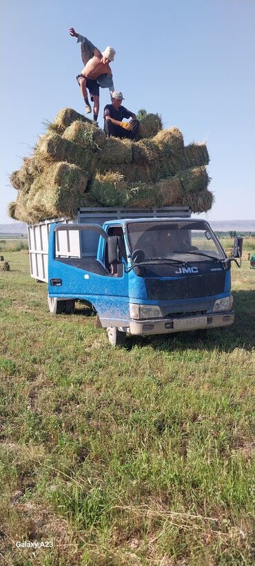 плуг 3: Легкий грузовик, Isuzu, Стандарт, 3 т, Б/у