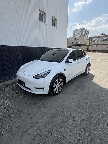 small car: Tesla Model Y: 2021 г., Электромобиль, Кроссовер — 2