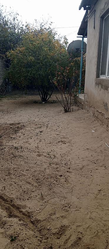 yeni güneşlide: 2 sot, Kənd təsərrüfatı, Mülkiyyətçi, Kupça (Çıxarış) — 6