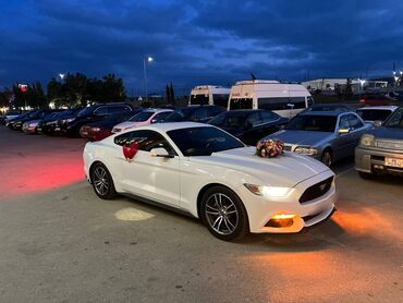 Digər avto xidmətlər: Ford mustang 2018 toy nişan və digər tədbirlər üçün sifariş edə — 7