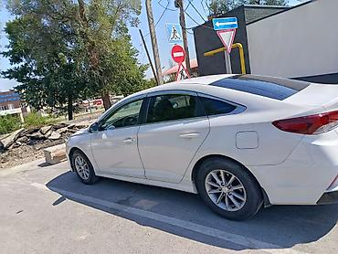 sonata 2005: Hyundai Sonata: 2020 г., 2 л, Автомат, Газ, Седан — 10