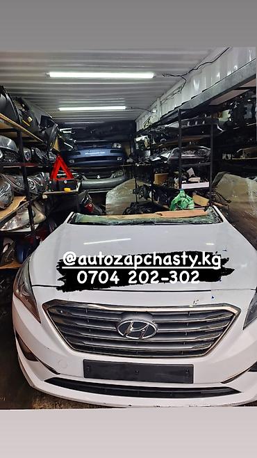 шери: Запчасти на Корейские машины Renault Samsung Ssang young Hyundai — 4