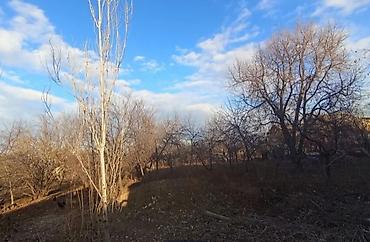 Həyət evləri və villaların satışı: 3 otaqlı, 150 kv. m, Orta təmir — 21