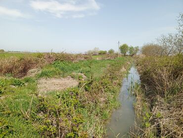 Torpaq sahələrinin satışı: 187 sot, Kənd təsərrüfatı, Barter mümkündür, Texniki pasport -da lalafo.az — 2 Torpaq sahələrinin satışı: 187 sot, Kənd təsərrüfatı, Barter mümkündür, Texniki pasport — 2