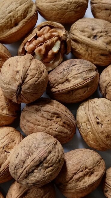 сухофрукты в ассортименте: Продается лесной грецкий орех. 2 тонны. г.Ош. Тел
