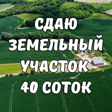 участок с: 40 соток