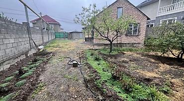 5 соток, Курулуш, Кызыл китеп