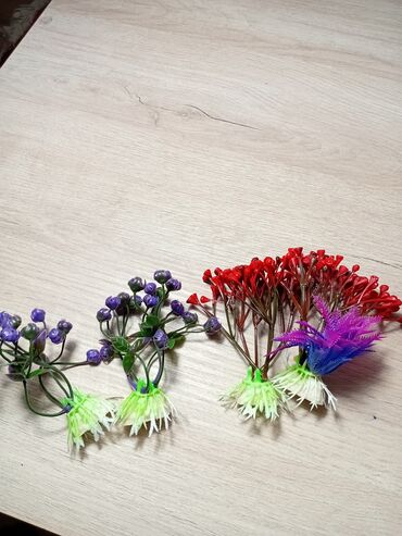 Akvariumlar: Akvaryum uzunluqu 70 eni 26 hündürlüy 46 dı boş 40 man dekor və otlar — 5