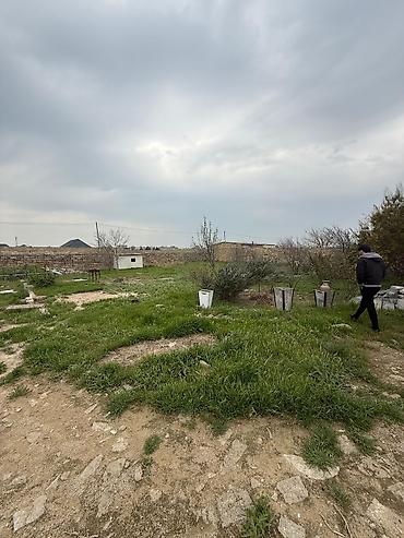 turkanda bağ: Bakı, Türkan qəs., 1 kv. m, 3 otaqlı, Hovuzsuz — 3