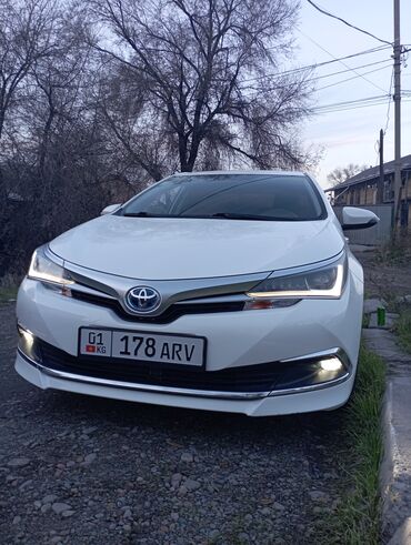 тайота пробох: Toyota Corolla: 2019 г., 1.8 л, Автомат, Гибрид, Седан