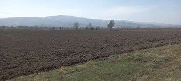 участок 40 соток: 37 соток, Генеральная доверенность