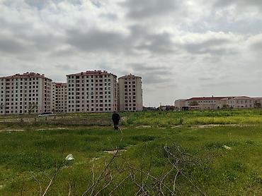 binədə: Kənd təsərrüfatı, Kupça (Çıxarış) — 1