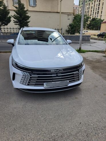 фольксваген поло 1: BYD : 1.5 l | 2024 il Sedan