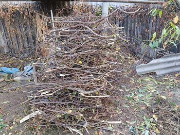 генераторы дыма: Дрова Самовывоз at lalafo.kg генераторы дыма: Дрова Самовывоз