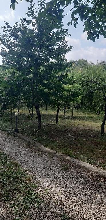 Həyət evləri və villaların satışı: 7 otaqlı, 600 kv. m, Kredit yoxdur, Yeni təmirli — 7