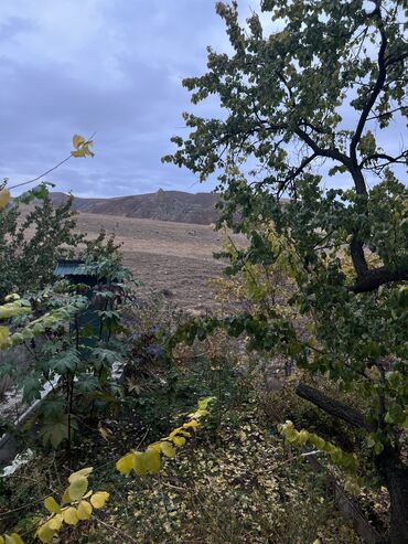 Продажа домов: Дача, 40 м², 3 комнаты, Собственник, Евроремонт — 28