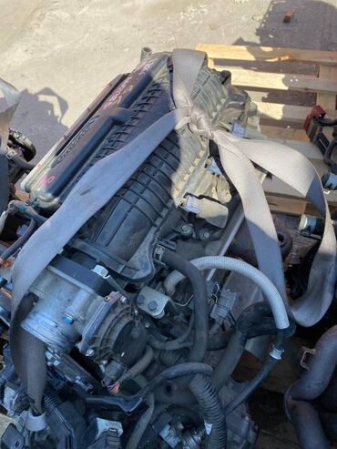 купить саженцы павловнии в бишкеке: Двигатель HONDA FIT GE6 L13 2010 (б/у)