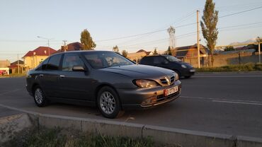 пример про: Nissan Primera: 2001 г., 2 л, Вариатор, Бензин, Седан