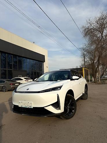 Dongfeng: Dongfeng : 2024 г., 0.1 л, Автомат, Электромобиль, Кроссовер — 8