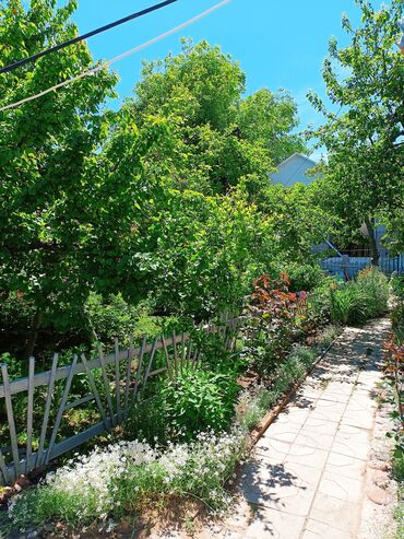 Посуточная аренда комнат: 18 м², С мебелью — 5