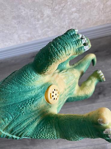 Digər oyuncaqlar: Uşaq oyuncaqı Dinozavr,ela veziyyetdedir.Dinozavrin öz sesinde — 2