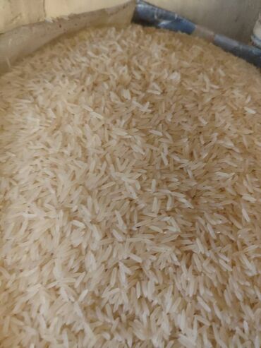 Digər qida məhsulları: Qovrulmuş və çiy,ağ və qara semiçkalar çəki ilə satılır. Sifariş -da lalafo.az — 6 Digər qida məhsulları: Qovrulmuş və çiy,ağ və qara semiçkalar çəki ilə satılır. Sifariş — 6