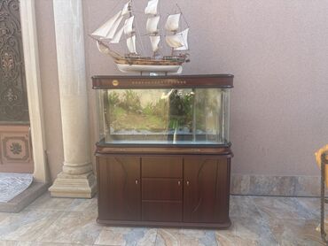Akvariumlar: Akvarium-şkaf, Boş, 200 l, Ünvandan götürmə