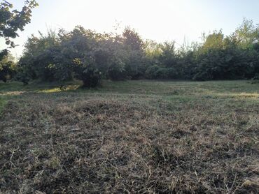 Torpaq sahələrinin satışı: 21 sot, Tikinti, Mülkiyyətçi, Kupça (Çıxarış) — 6