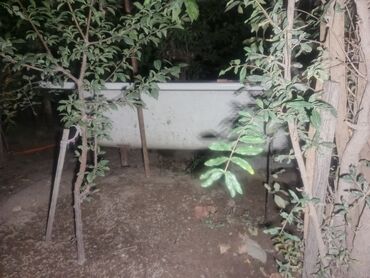 Hamam üçün aksessuarlar: Salam Dəmir hamam Vannasi ayaqlarıda var içində üzündə heç bir çat