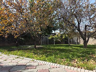 Продажа домов: Дом, 210 м², 6 комнат, Собственник, Косметический ремонт — 6