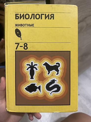 Книги продам дешево 150-180-250сом Что внутри (по видимым обложкам at lalafo.kg — 2 Книги продам дешево 150-180-250сом Что внутри (по видимым обложкам — 2