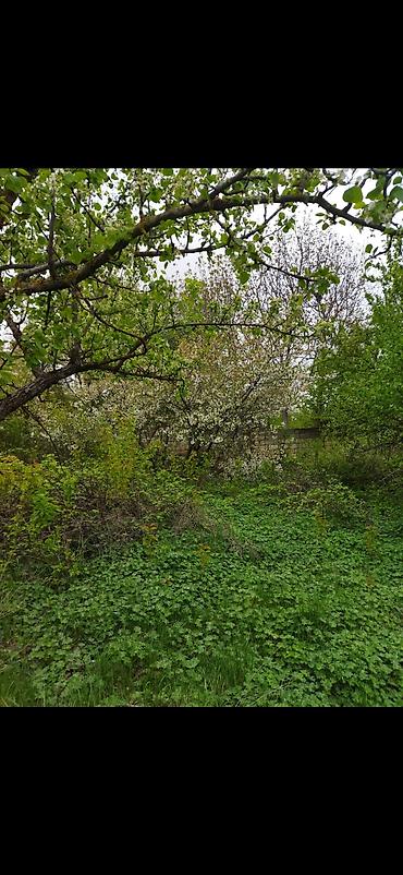 Köhnə tikili: Quba, 2 otaqlı, Köhnə tikili, 56 kv. m — 12