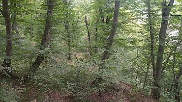 Torpaq sahələrinin satışı: 170 sot, Biznes üçün, Mülkiyyətçi, Kupça (Çıxarış) — 2