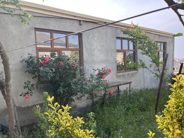 sulutepe kiraye evler: Sulutəpə qəs. 2 otaqlı, 100 kv. m, Kredit yoxdur, Orta təmir