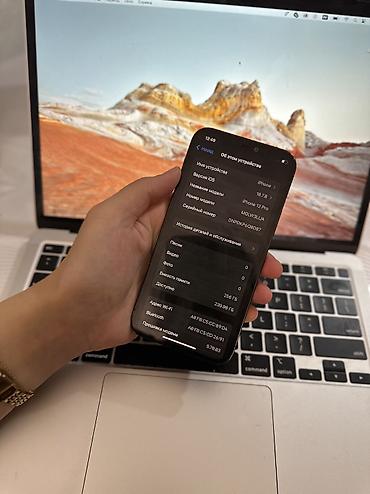 trade in: IPhone 12 Pro, Б/у, 256 ГБ, Pacific Blue, Чехол, 79 % — 6
