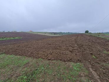 Torpaq sahələrinin satışı: 100 sot, Kənd təsərrüfatı, Mülkiyyətçi, Kupça (Çıxarış) — 10