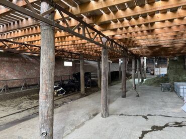 Сельхоз предприятия: Продаю Кошара, 7 соток, Действующий, Электричество — 9