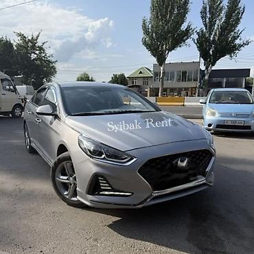 rav 4 2020: Прокат авто Sonata New Rise 2019. 5490 в сутки. Любой возраст — 1