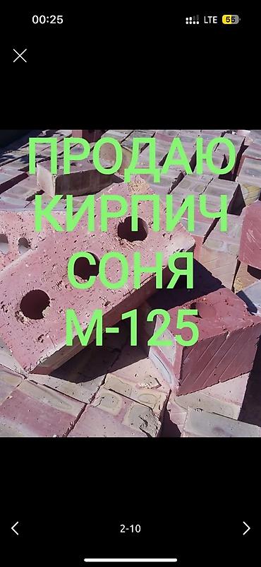 haktan pack: Пустотелый, дырчатый, Жженый кирпич, Полублок, 250×120×90 — 7