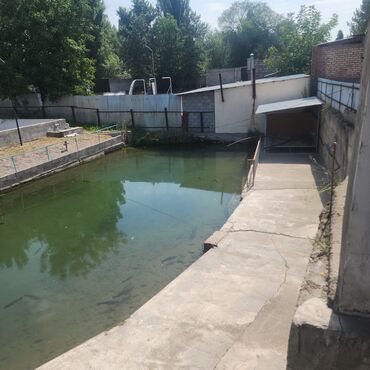 Продажа домов: Дом, 220 м², 7 комнат, Собственник, Евроремонт — 6