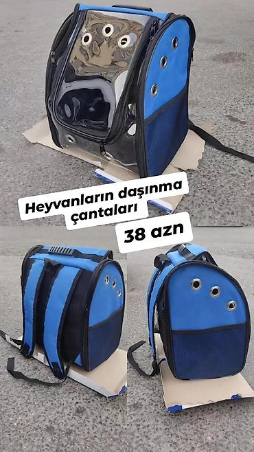 itler satisi: It pişik heyvanların daşınma çantaları satılır təzədir çatdırılma — 1