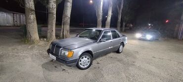 Mercedes-Benz: Mercedes-Benz W124: 1988 г., 2.3 л, Механика, Бензин, Седан