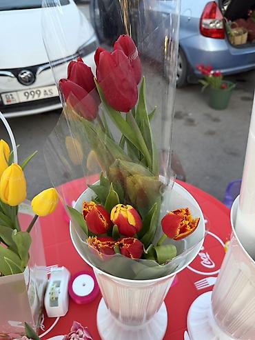 Букеты из живых цветов: Тюльпаны – свежие срезанные цветы и готовые букеты - Разнообразие — 6
