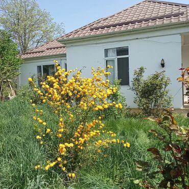 Günlük kirayə evlər: 120 kv. m, 3 otaqlı, İnternet, Telefon, Qaz -da lalafo.az — 16 Günlük kirayə evlər: 120 kv. m, 3 otaqlı, İnternet, Telefon, Qaz — 16