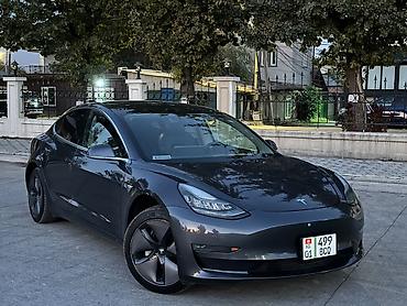 плесос для машины: Tesla Model 3: 2019 г., Электромобиль, Лифтбек — 1