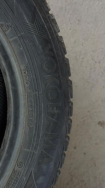 rexston g4: Комплект зимних шин Yokohama iceGUARD iG50 Plus - Размер: 205/60 R16 — 2